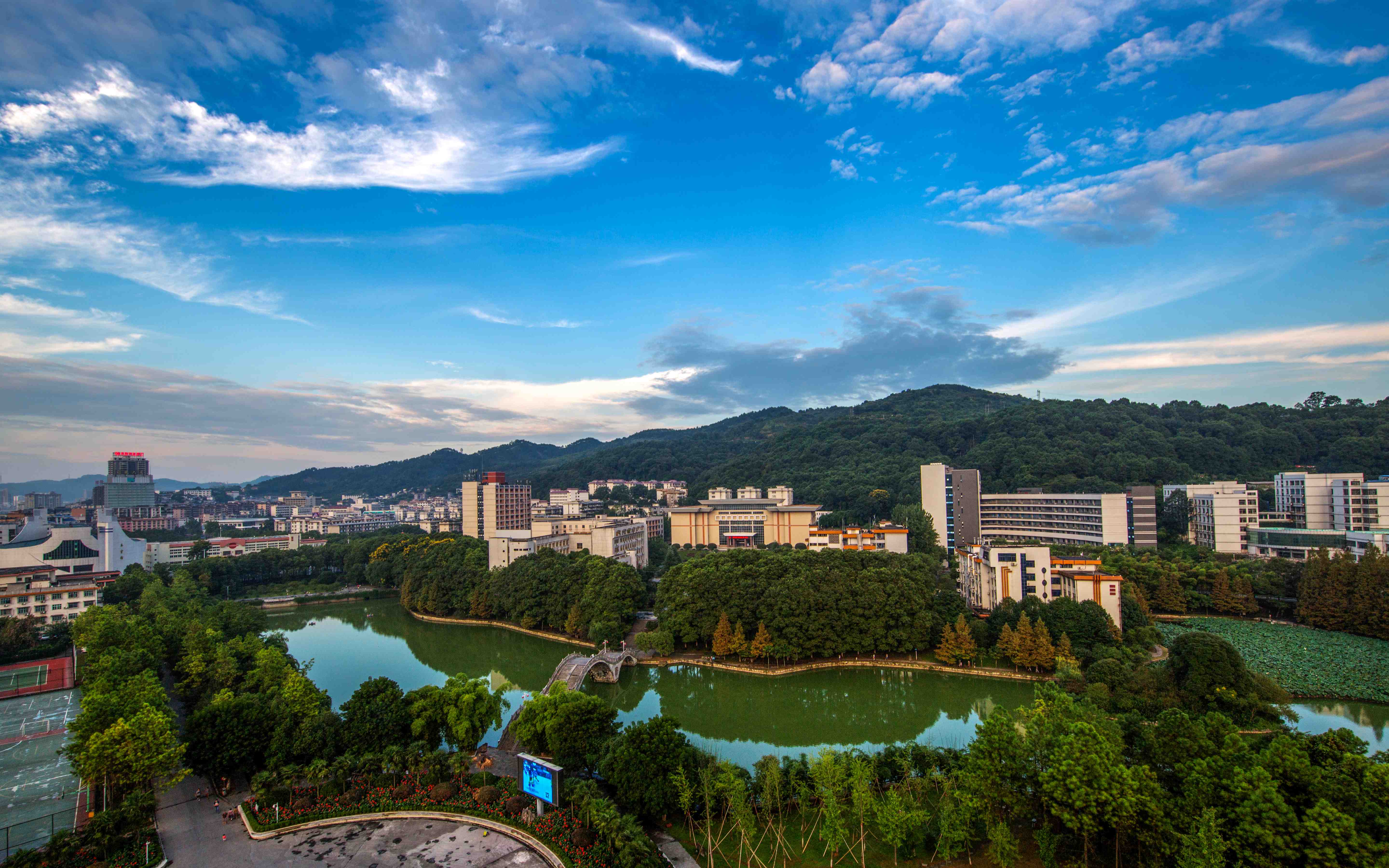 世俱杯官方网站全景图.JPG